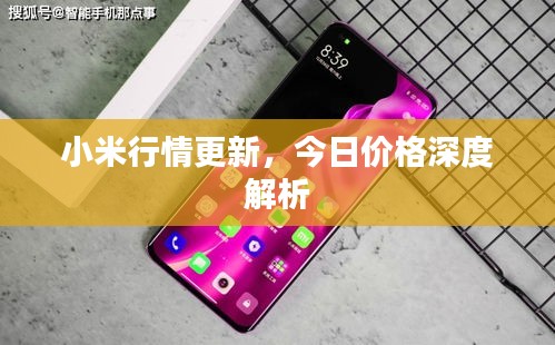 小米行情更新，今日價格深度解析