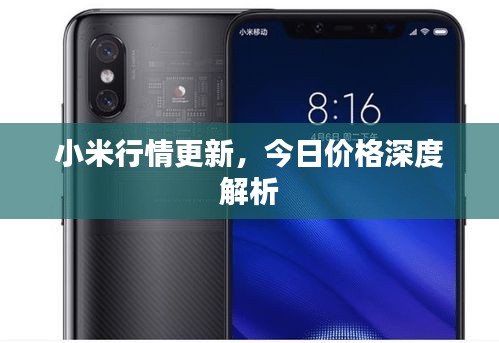 小米行情更新,今日價格深度解析
