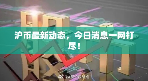 滬幣最新動態,今日消息一網打盡!