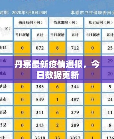 丹寨最新疫情通報(bào)，今日數(shù)據(jù)更新