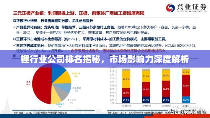 鋰行業(yè)公司排名揭秘,市場(chǎng)影響力深度解析