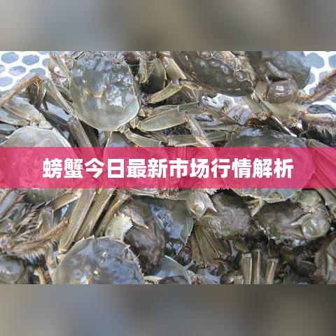 狗尾續貂 第3頁