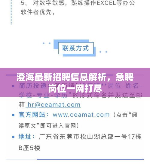 澄海最新招聘信息解析,急聘崗位一網打盡