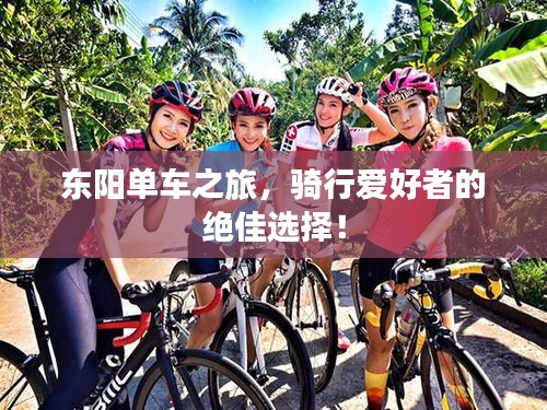 東陽單車之旅,騎行愛好者的絕佳選擇!