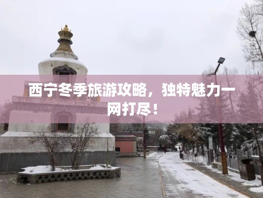 西寧冬季旅游攻略,獨特魅力一網打盡!