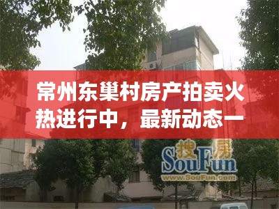 常州東巢村房產拍賣火熱進行中,最新動態一網打盡