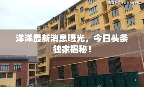 洋洋最新消息曝光,今日頭條獨家揭秘!