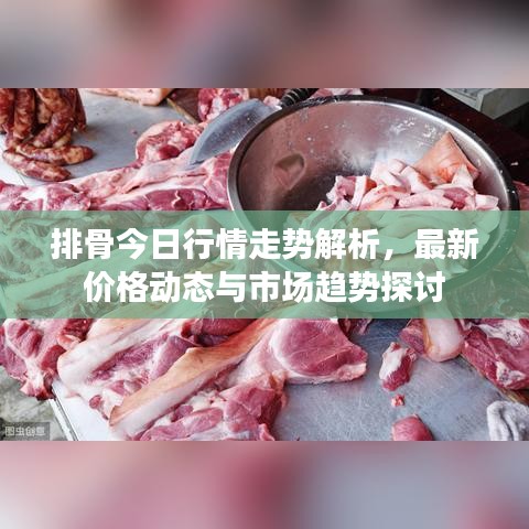 排骨今日行情走勢解析,最新價格動態(tài)與市場趨勢探討