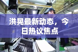 洪晃最新動態,今日熱議焦點