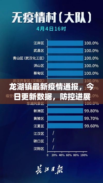龍湖鎮最新疫情通報,今日更新數據,防控進展速覽