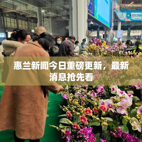 惠蘭新聞今日重磅更新,最新消息搶先看
