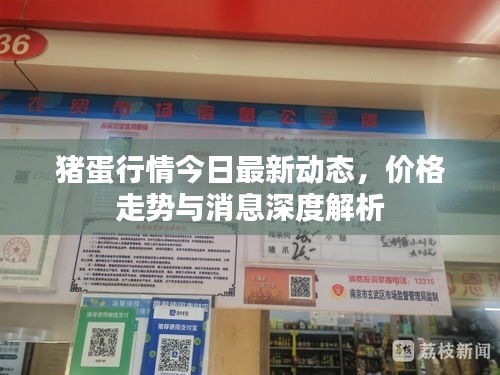 豬蛋行情今日最新動態,價格走勢與消息深度解析