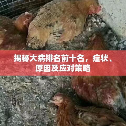 通宵達旦 第3頁