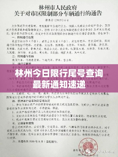 林州今日限行尾號查詢最新通知速遞