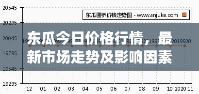 東瓜今日價格行情,最新市場走勢及影響因素深度解析