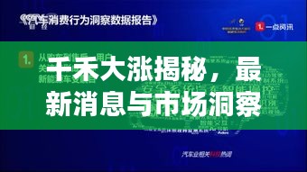 千禾大漲揭秘,最新消息與市場洞察深度解讀