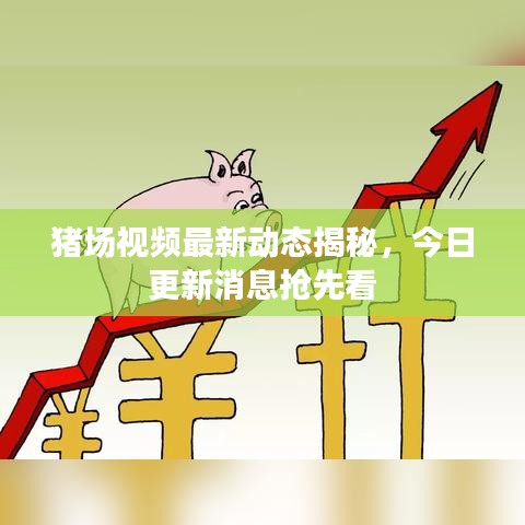 豬場視頻最新動(dòng)態(tài)揭秘,今日更新消息搶先看