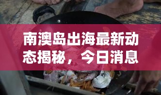 南澳島出海最新動(dòng)態(tài)揭秘,今日消息一網(wǎng)打盡!