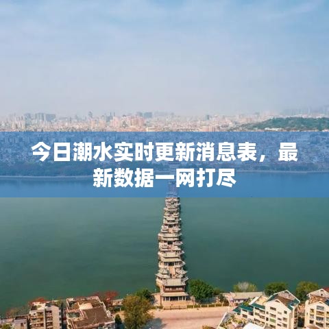 今日潮水實時更新消息表，最新數(shù)據(jù)一網(wǎng)打盡