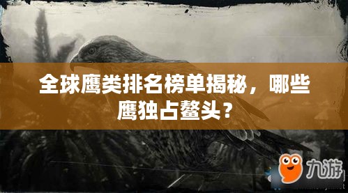 全球鷹類排名榜單揭秘,哪些鷹獨占鰲頭?