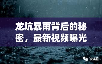 龍坑暴雨背后的秘密，最新視頻曝光，揭示驚人真相！