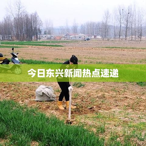 慘淡經營 第3頁