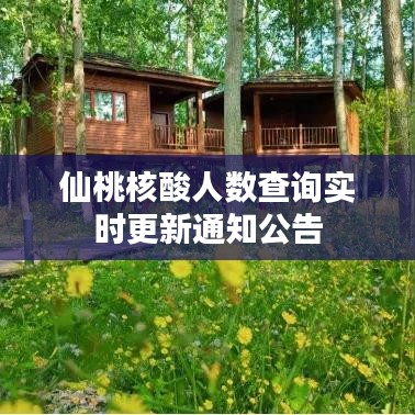 仙桃核酸人數查詢實時更新通知公告