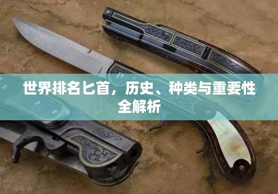 世界排名匕首,歷史、種類與重要性全解析
