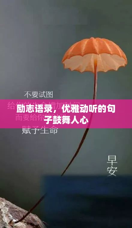 勵(lì)志語(yǔ)錄,優(yōu)雅動(dòng)聽的句子鼓舞人心