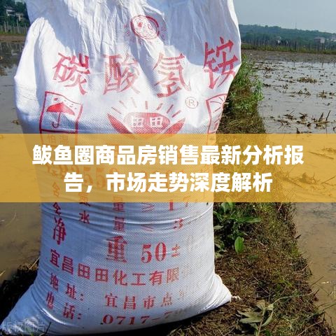 鲅魚圈商品房銷售最新分析報告,市場走勢深度解析