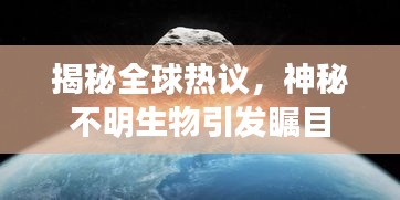 揭秘全球熱議,神秘不明生物引發矚目