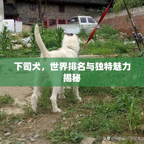 勇往直前 第3頁