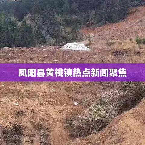鳳陽(yáng)縣黃桃鎮(zhèn)熱點(diǎn)新聞聚焦