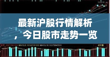 最新滬股行情解析，今日股市走勢(shì)一覽