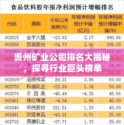 貴州礦業公司排名大揭秘，探尋行業巨頭榜單