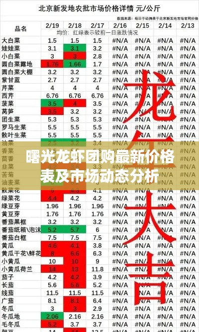 曙光龍蝦團購最新價格表及市場動態分析