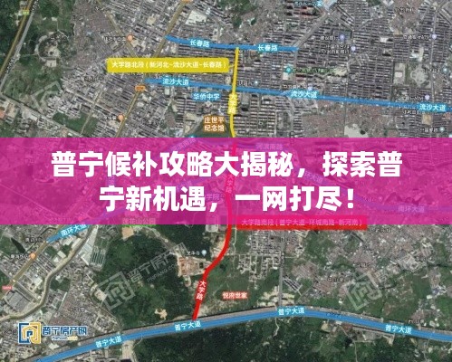 普寧候補攻略大揭秘,探索普寧新機遇,一網打盡!