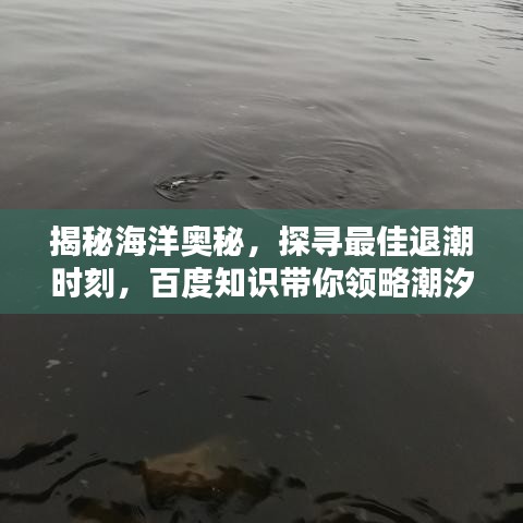 揭秘海洋奧秘,探尋最佳退潮時(shí)刻,百度知識(shí)帶你領(lǐng)略潮汐魅力