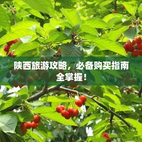 陜西旅游攻略,必備購買指南全掌握!