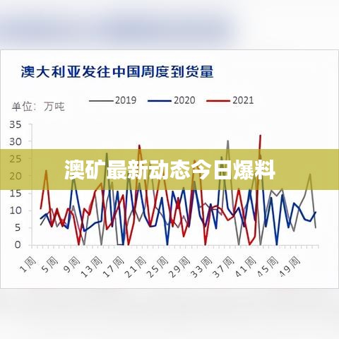 澳礦最新動(dòng)態(tài)今日爆料