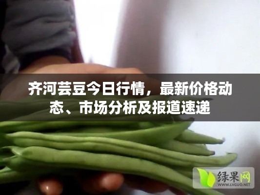 齊河蕓豆今日行情，最新價格動態(tài)、市場分析及報道速遞