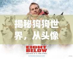 揭秘狗狗世界，從頭像圖片開啟的奇妙探險之旅