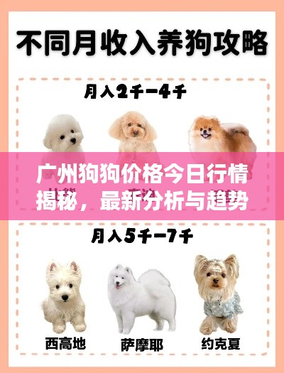 廣州狗狗價格今日行情揭秘,最新分析與趨勢預測