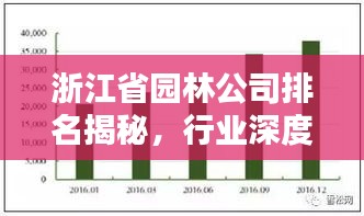 浙江省園林公司排名揭秘，行業深度分析與評估