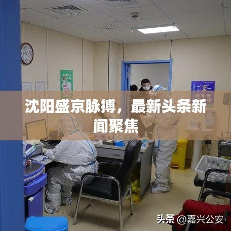沈陽(yáng)盛京脈搏,最新頭條新聞聚焦