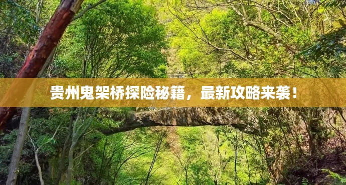 貴州鬼架橋探險(xiǎn)秘籍,最新攻略來(lái)襲!