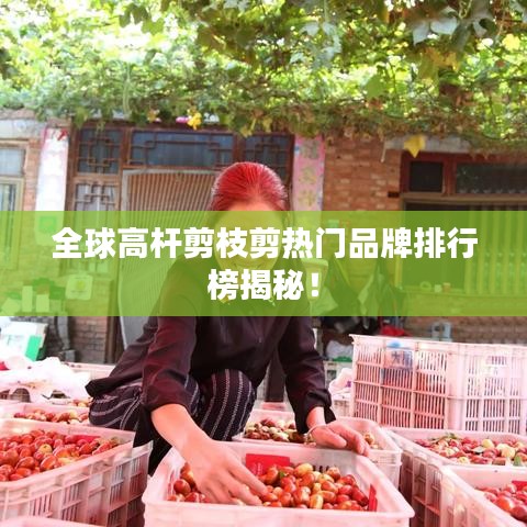 全球高桿剪枝剪熱門品牌排行榜揭秘！