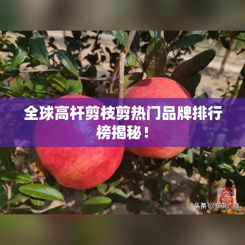 全球高桿剪枝剪熱門(mén)品牌排行榜揭秘!