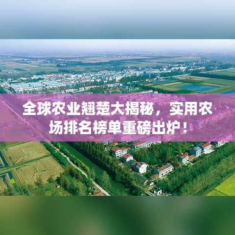 全球農業翹楚大揭秘,實用農場排名榜單重磅出爐!
