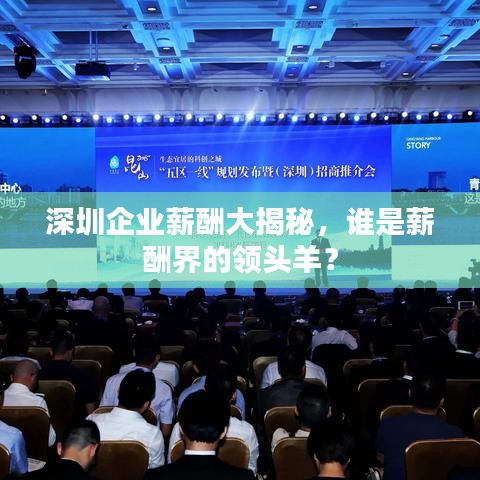 深圳企業(yè)薪酬大揭秘,誰是薪酬界的領頭羊?